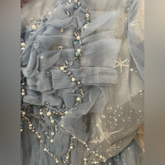 Cinderella Prom Gown - Picture 6 of 9